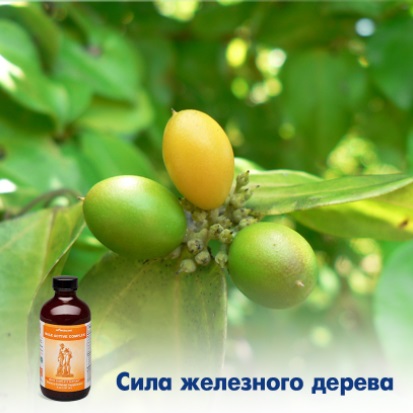 Урал АРГО в Екатеринбурге